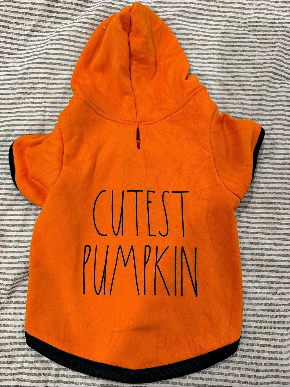Rae Dunn Orange Dog Hoodie Size Medium